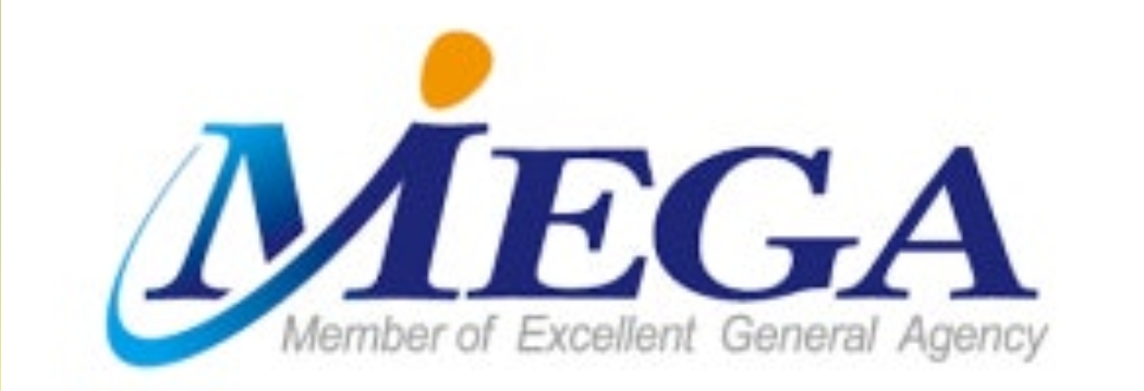 메가 엔에스아이 사업단